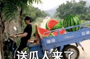 2021吃瓜群